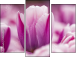 Triptych