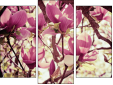 Triptych