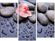 Triptych