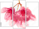 Triptych