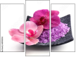 Triptych