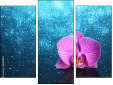 Triptych