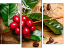 Triptych