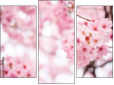 Triptych