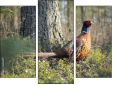 Triptych