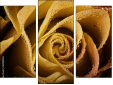 Triptych