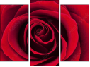 Triptych