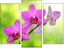 Triptych