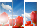 Triptych