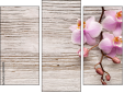 Triptych