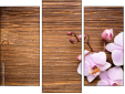 Triptych