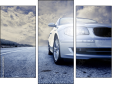 Triptych
