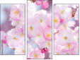 Triptych