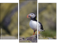 Triptych