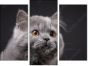 Triptych