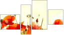Fortyk