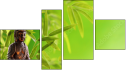 Fortyk