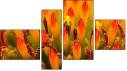 Fortyk