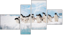Fortyk