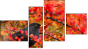 Fortyk