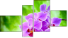 Fortyk