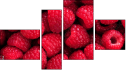 Fortyk