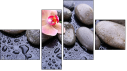 Fortyk
