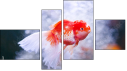 Fortyk
