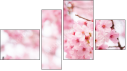 Fortyk