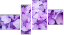 Fortyk