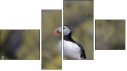 Fortyk