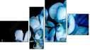 Fortyk