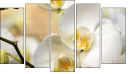 Pentaptych