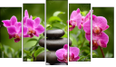 Pentaptych