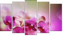 Pentaptych