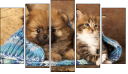 Pentaptych