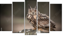 Pentaptych