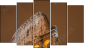 Pentaptych