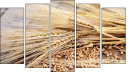 Pentaptych