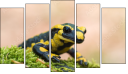 Pentaptych