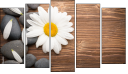 Pentaptych