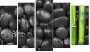 Pentaptych