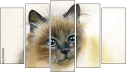 Pentaptych