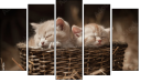 Pentaptych