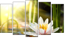 Pentaptych
