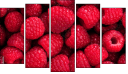 Pentaptych