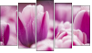 Pentaptych