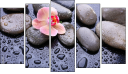 Pentaptych