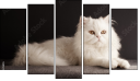 Pentaptych