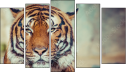 Pentaptych